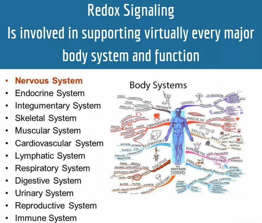 redox signaling body systems
